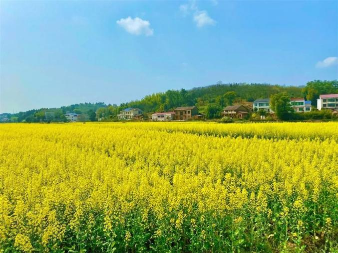 衡阳市衡东县创建美丽乡村基本建设项目